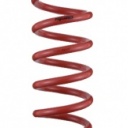 NF210 Springs